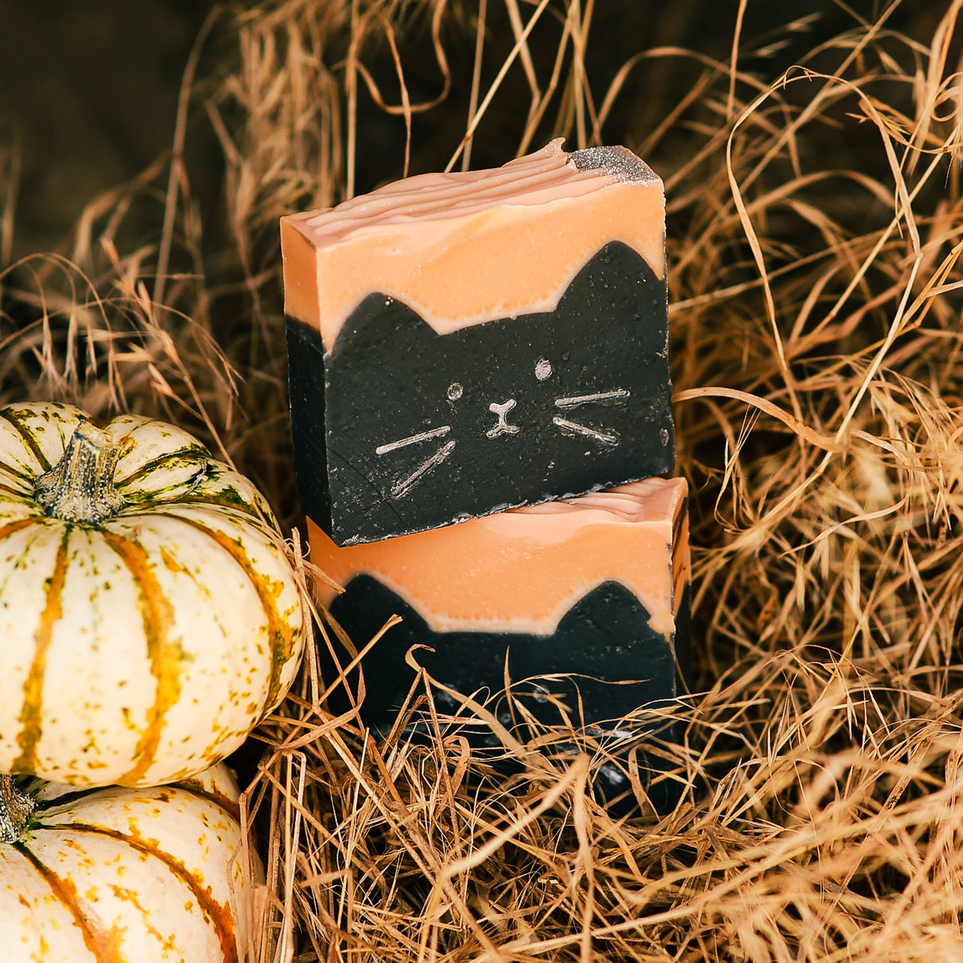 Scaredy Cat Soap