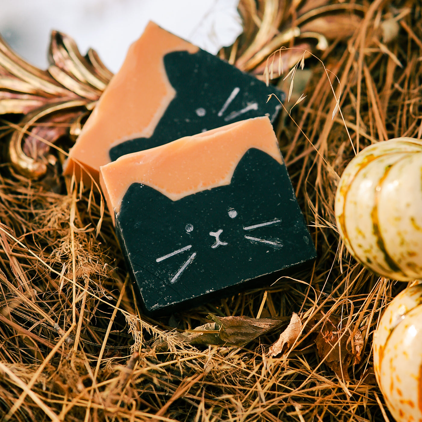 Scaredy Cat Soap